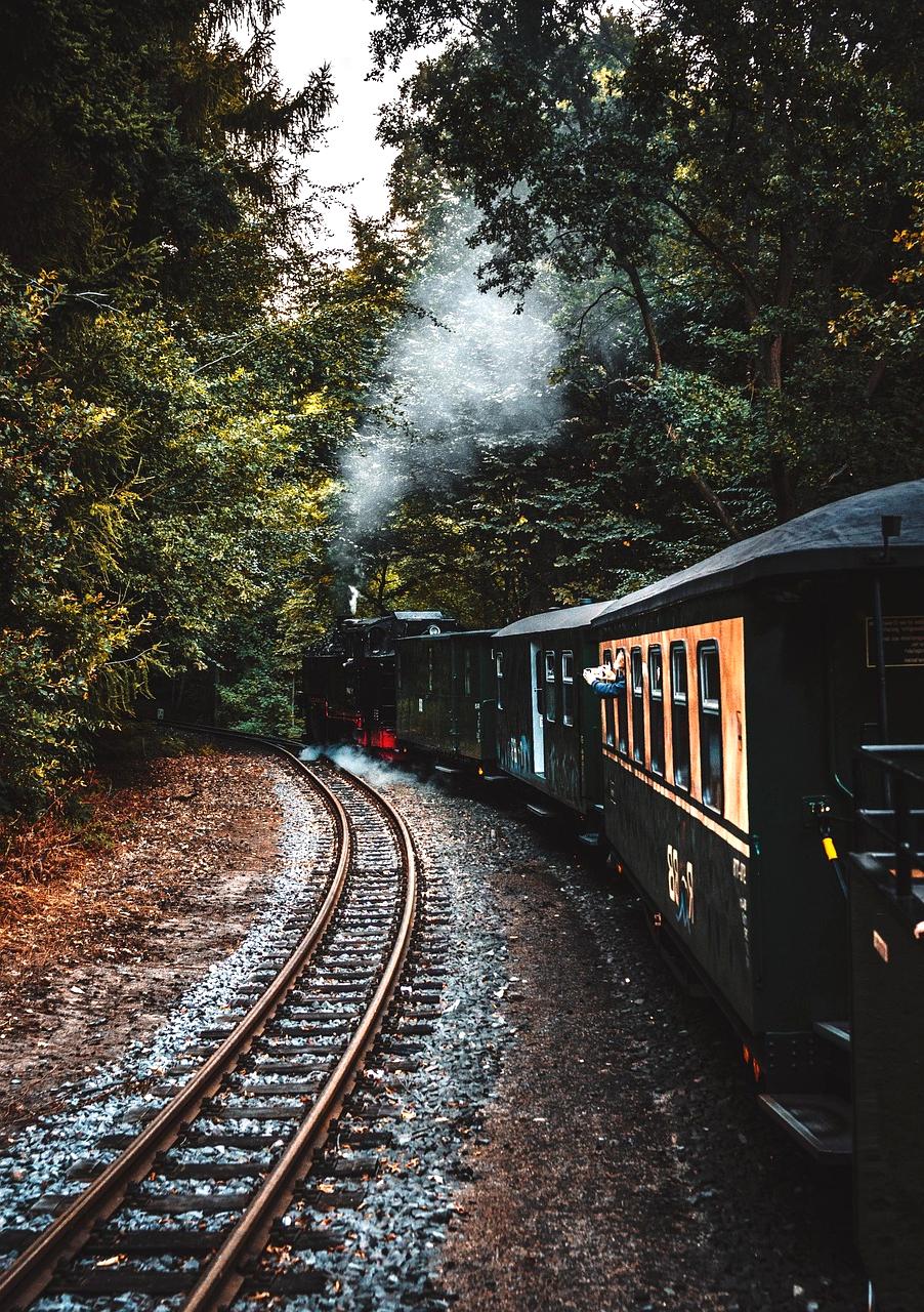 Quantum processor temperature gauge